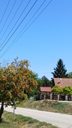 Bajna