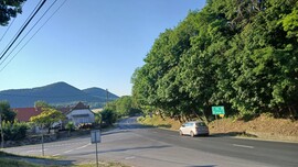 Bajna
