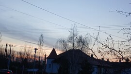 Tát