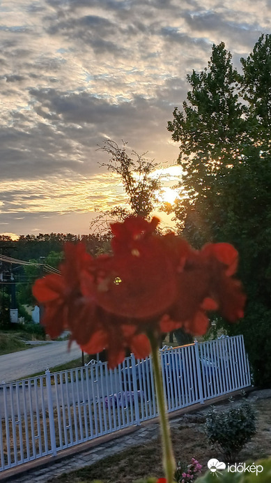 Bajna