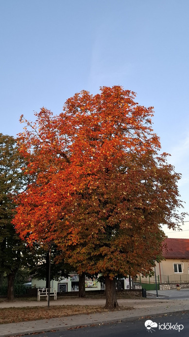 Bajna