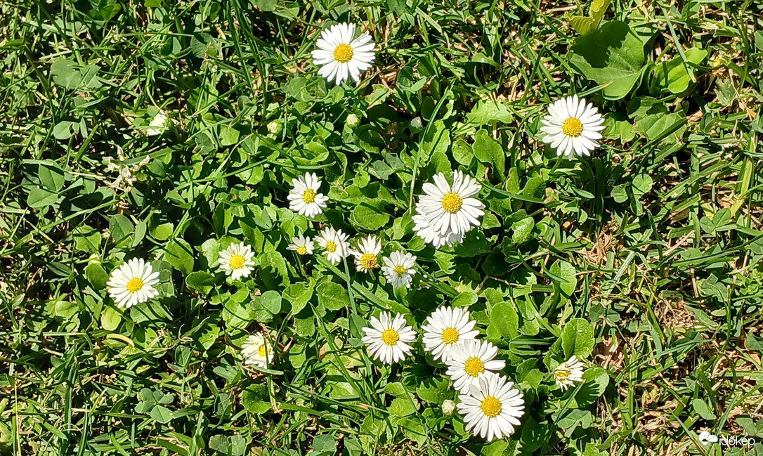 Bajna