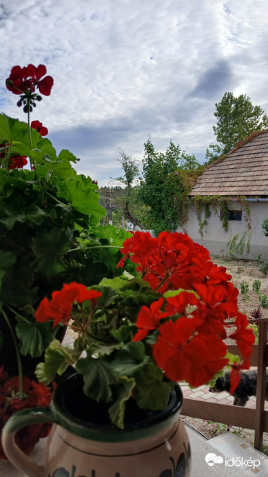 Bajna
