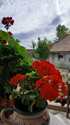 Bajna