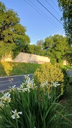 Bajna