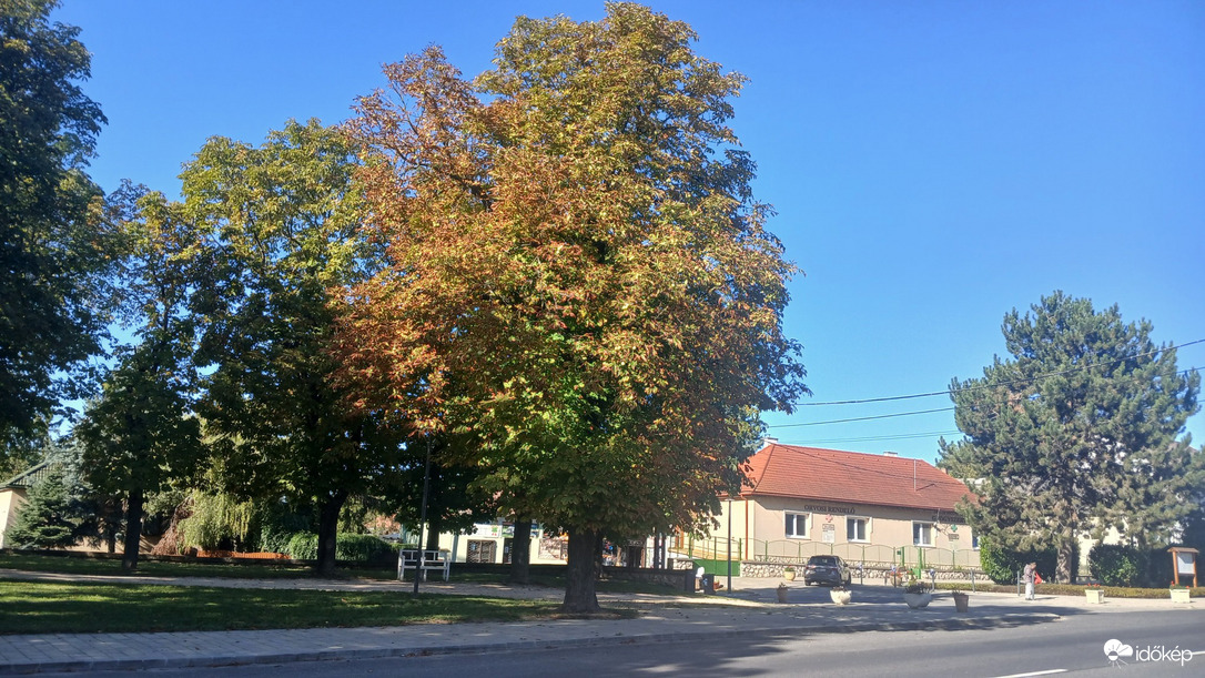 Bajna