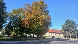 Bajna