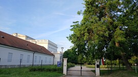Bajna
