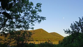 Bajna