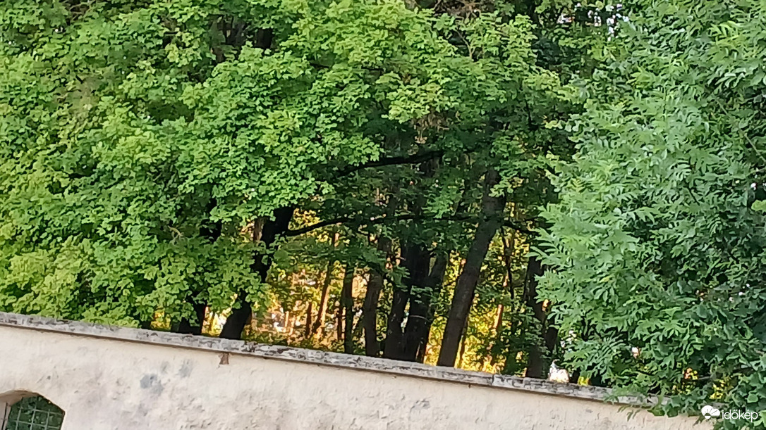 Bajna