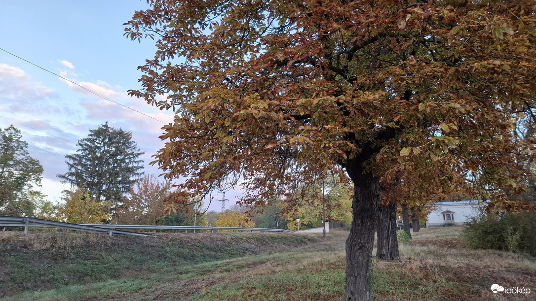 Bajna
