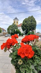 Bajna