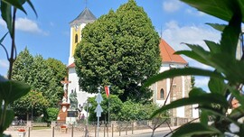 Bajna
