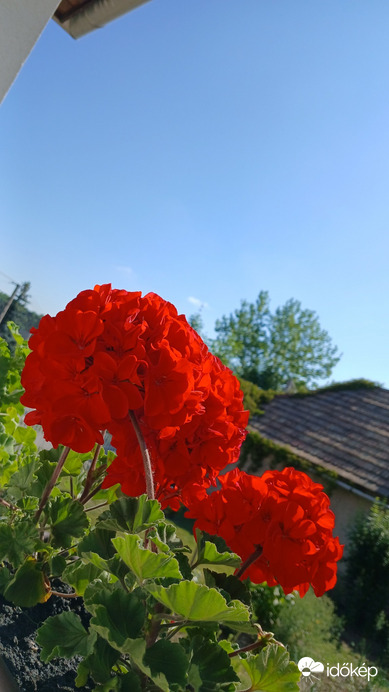 Bajna
