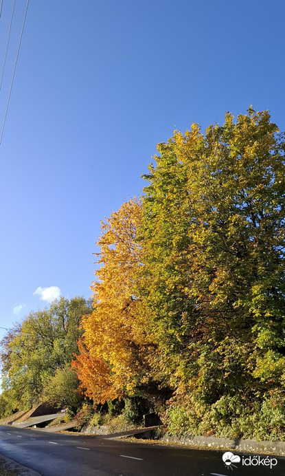 Bajna