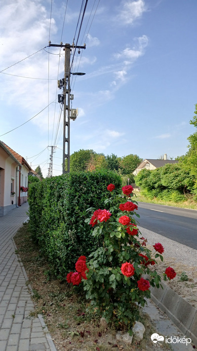 Bajna