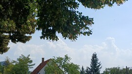 Bajna