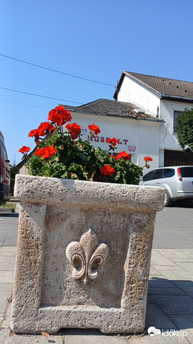 Bajna