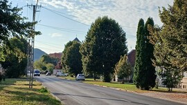 Bajna