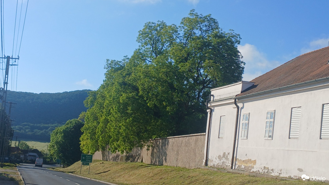 Bajna