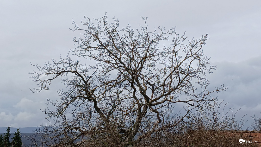 Bajna