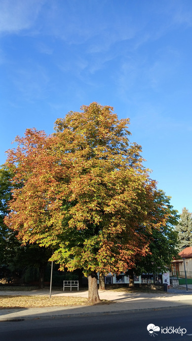 Bajna