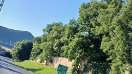 Bajna