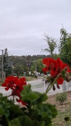 Bajna