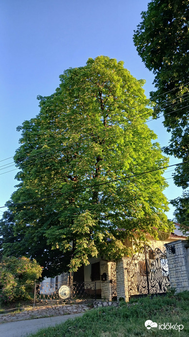 Bajna