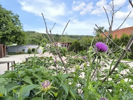 Kereki