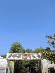 Kereki
