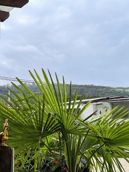 Kereki