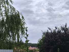 Kereki
