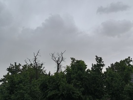 Kereki