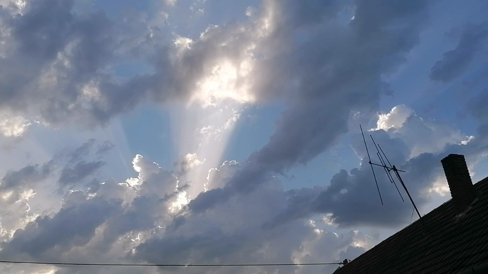 Cún