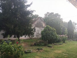 Cún