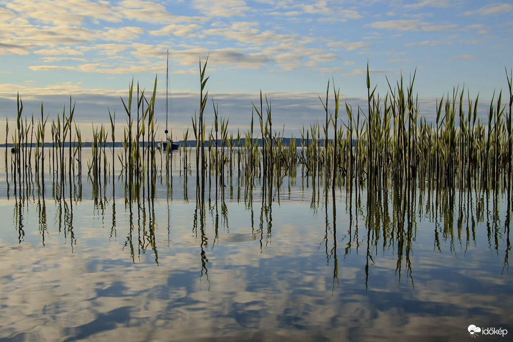 Szívritmust szabályozó