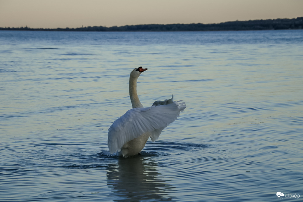 Karmester és a záróakkord 