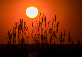 Balatonmáriafürdő 