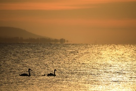Balatonberény 