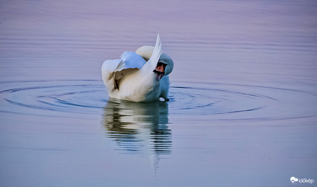 Hétvége van, csak megsúgom  ;) 