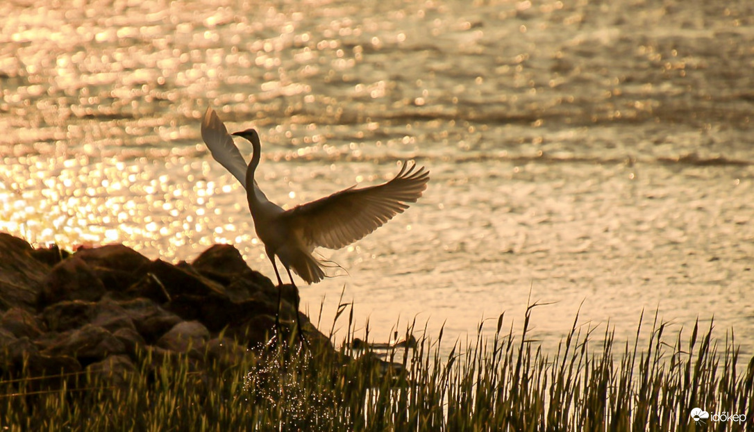Jó reggelt napfény! 