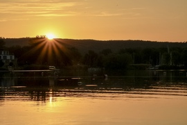 Reflektorfény