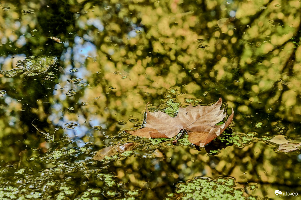 Ősz