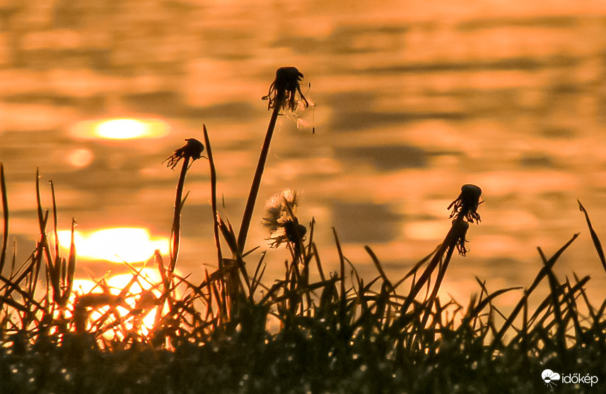 Elmúlás az ébredésben