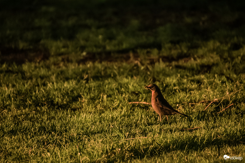 Épp reggelizem, ne zavarj!