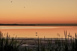 Hajnal