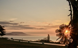 Balatongyörökről
