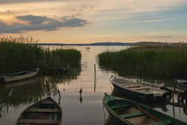 csendÉLET