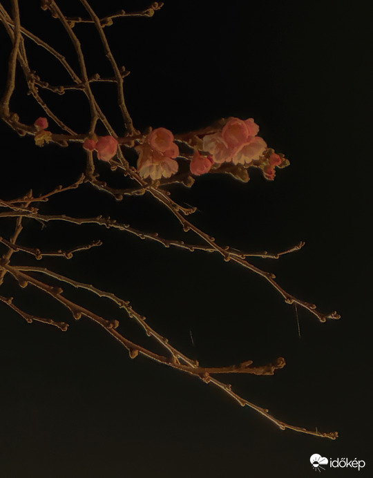 Félreértett évszak